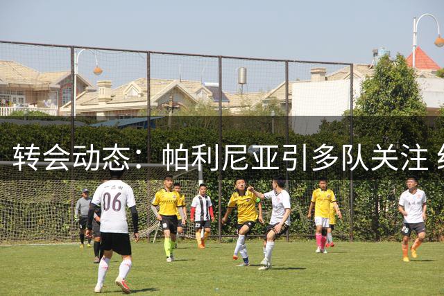 转会动态：帕利尼亚引多队关注 纽卡本菲卡展开竞争